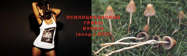 COCAINE Волоколамск